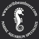 Caribbean Forest