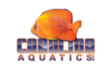 Carolina Aquatics
